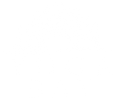 Yoga Bay